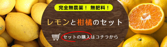 レモンとみかんのセット販売