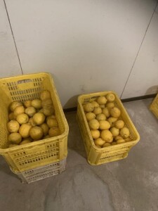 image0_2.jpeg