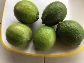 自然栽培グリーンレモン　15kg